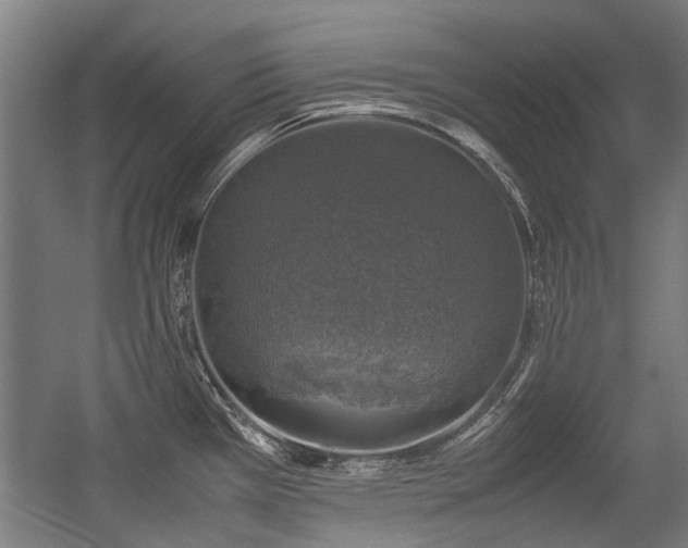 X0000057081385200509120909