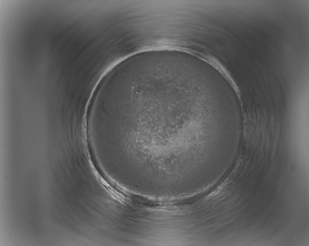 X0000057081388200509120909