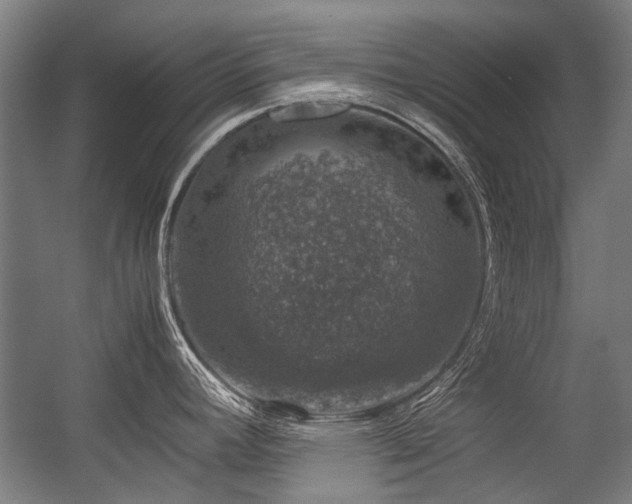 X0000057081392200509120909