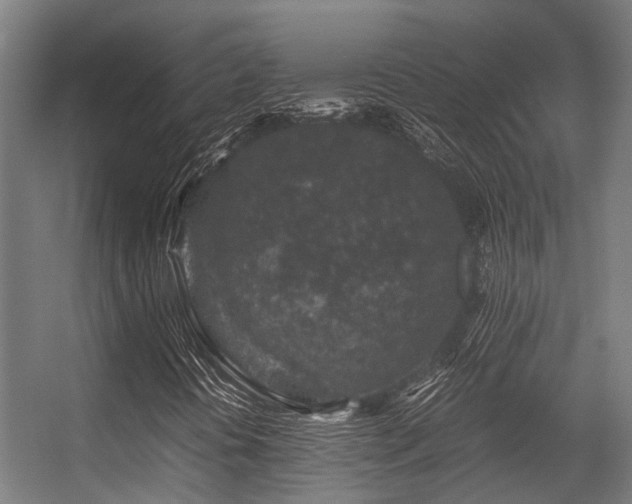 X0000057081394200509120908