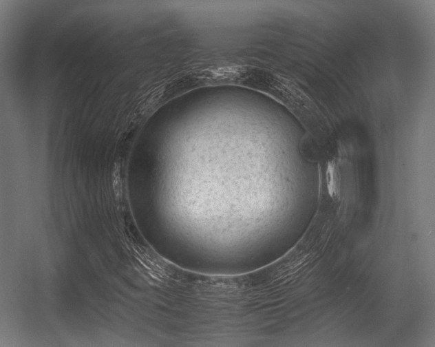 X0000057081395200509120908