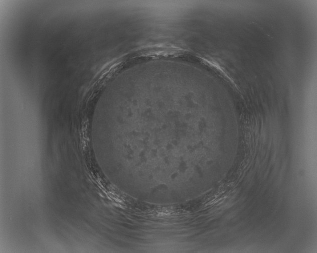 X0000057081399200509120908