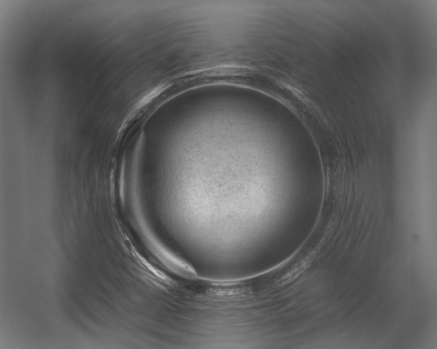 X0000057081402200509120908