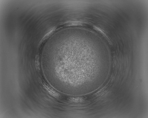 X0000057081403200509120908
