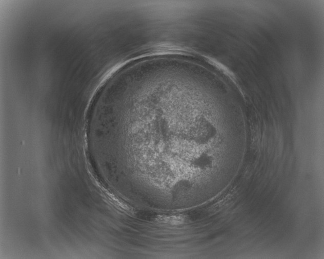 X0000057081415200509120908