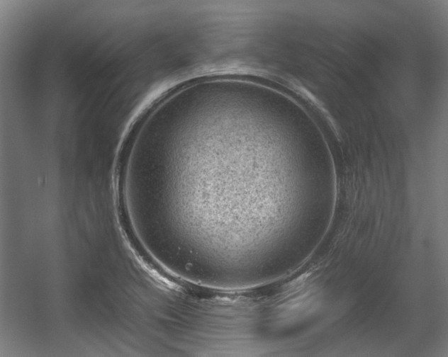 X0000057081416200509120908