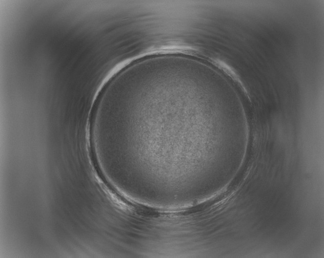 X0000057081420200509120908