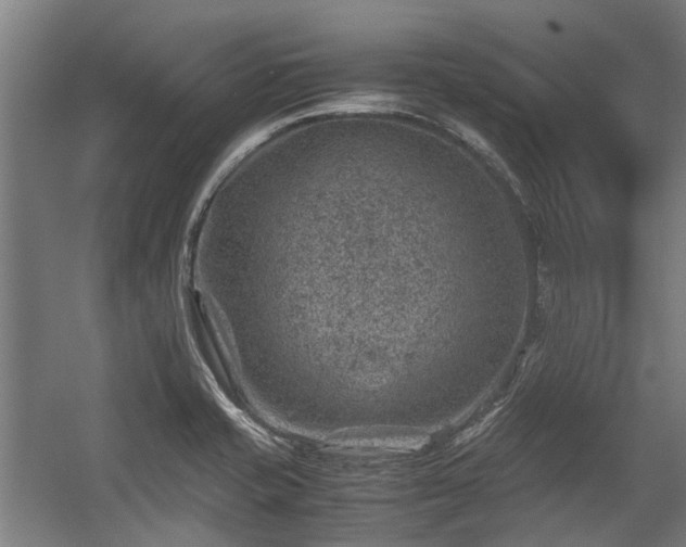 X0000057081421200509120908