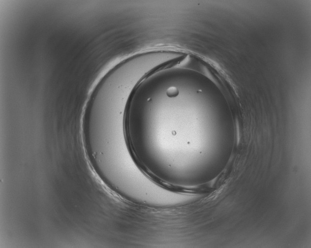 X0000057081422200509120908