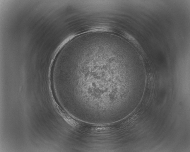 X0000057081427200509120908