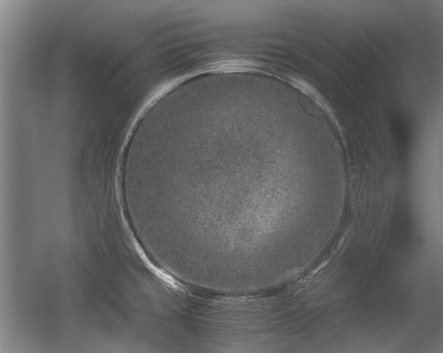 X0000057081429200509120908