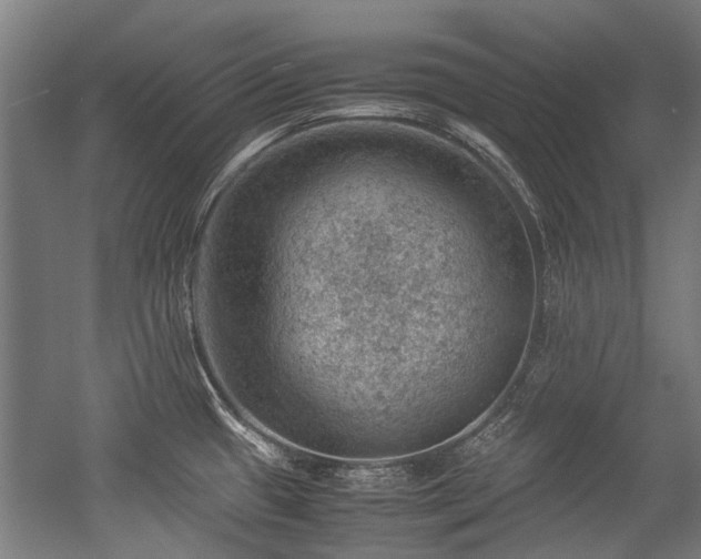 X0000057081433200509120909