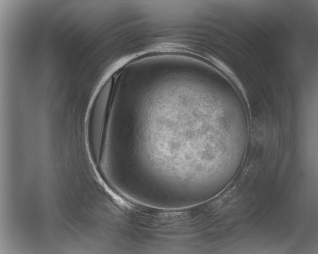 X0000057081437200509120909