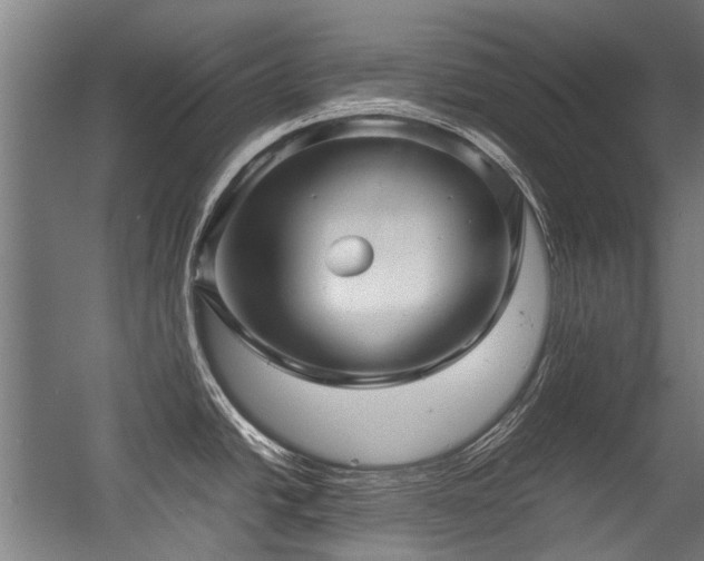 X0000057081438200509120909