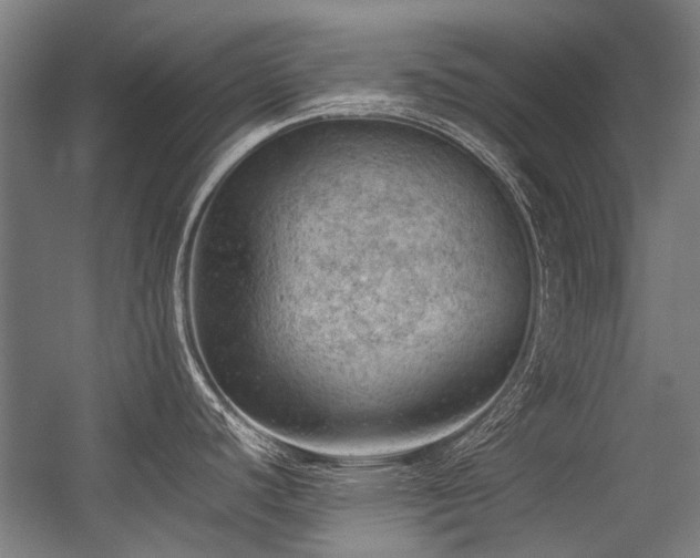 X0000057081440200509120909