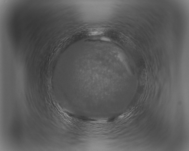 X0000057081441200509120908