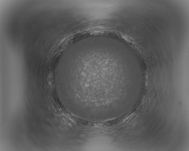 X0000057081445200509120908