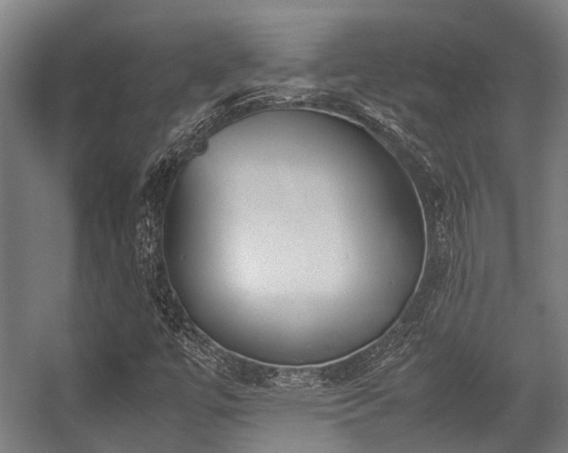 X0000057081447200509120908