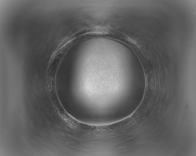 X0000057081448200509120908