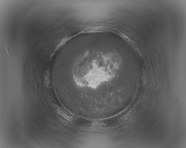 X0000057081449200509120908