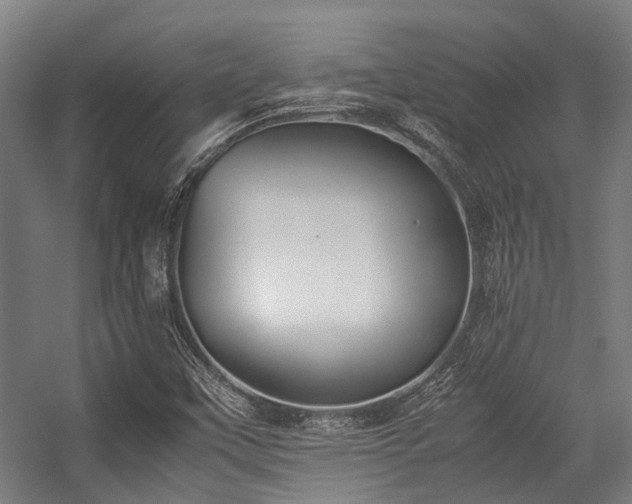 X0000057081451200509120908