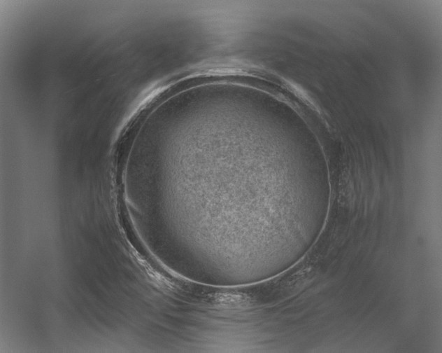 X0000057081456200509120908