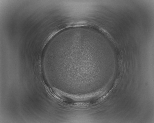 X0000057081457200509120908