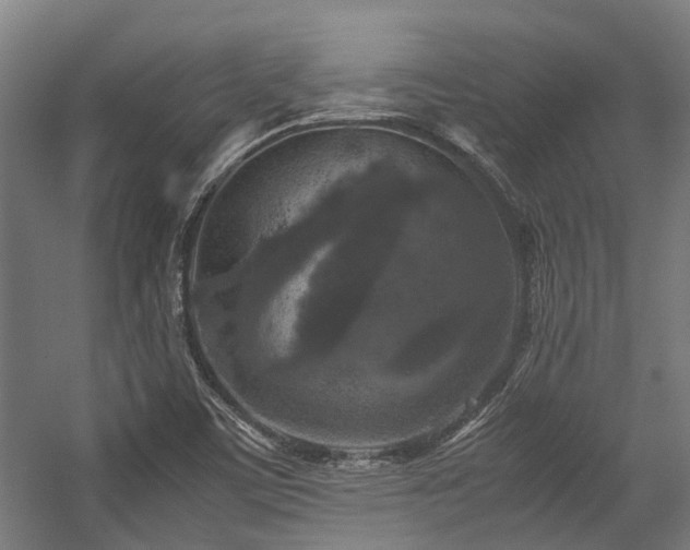 X0000057081459200509120908