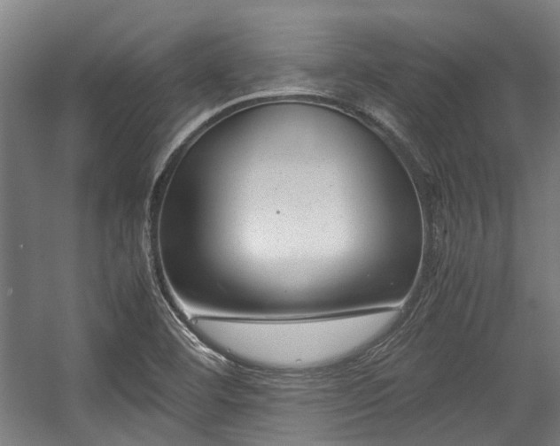 X0000057081460200509120908