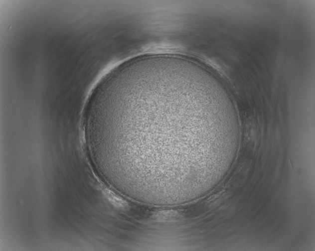 X0000057081462200509120907