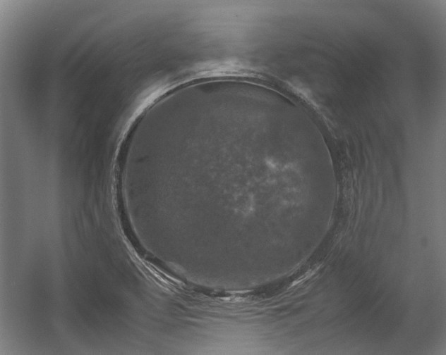 X0000057081463200509120907