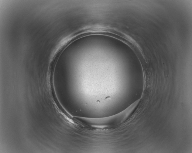 X0000057081464200509120907