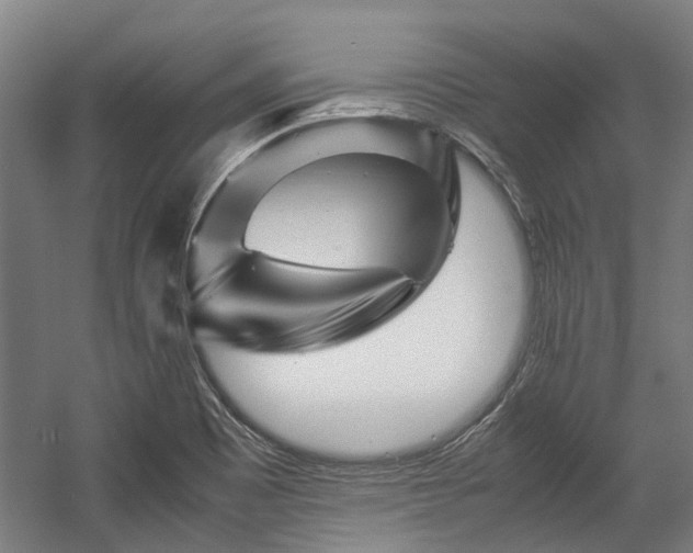 X0000057081465200509120907