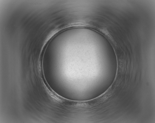 X0000057081466200509120907