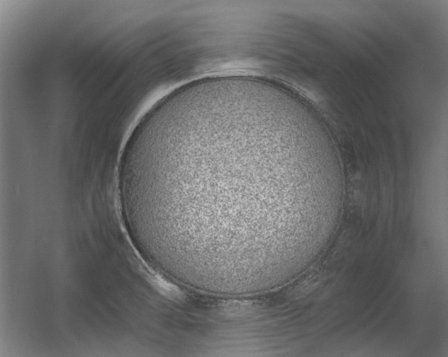 X0000057081470200509120907