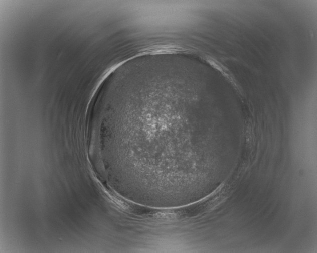 X0000057081473200509120907