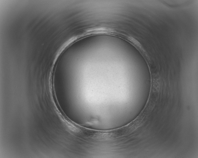 X0000057081474200509120907