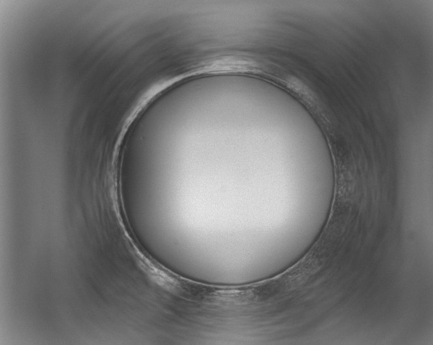 X0000057081478200509120907