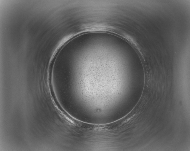 X0000057081480200509120907