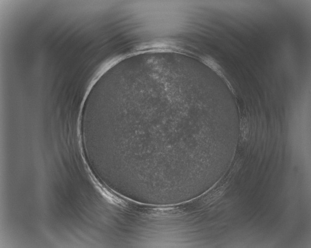 X0000057081482200509120907