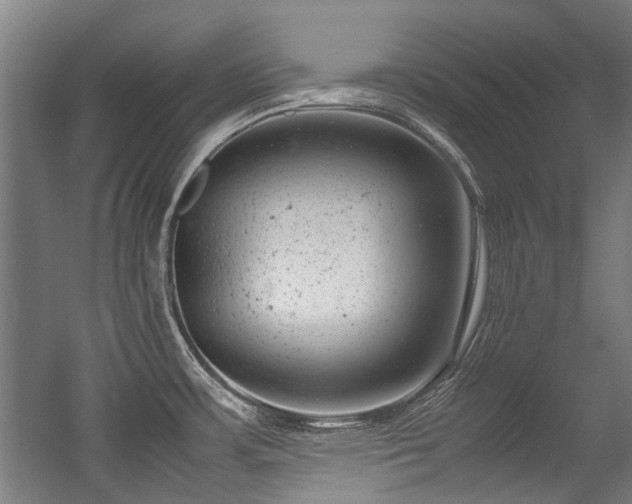 X0000057081483200509120907