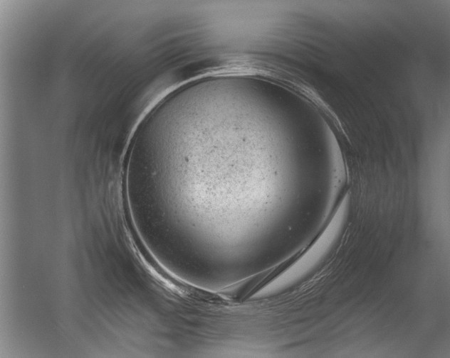 X0000057081484200509120907