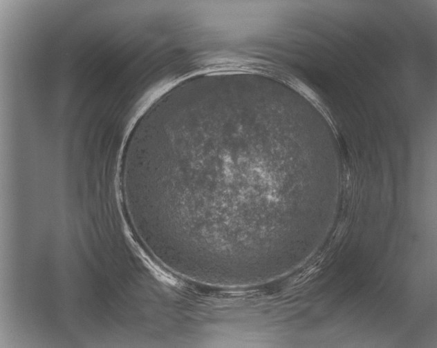 X0000057081485200509120907