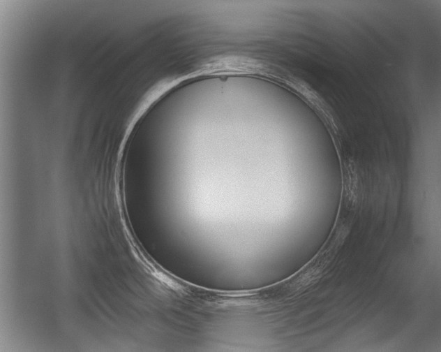 X0000057081486200509120907