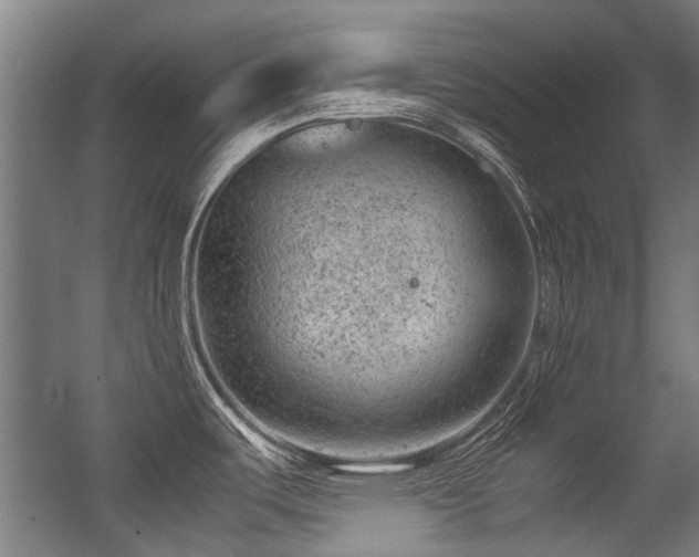 X0000057081487200509120907