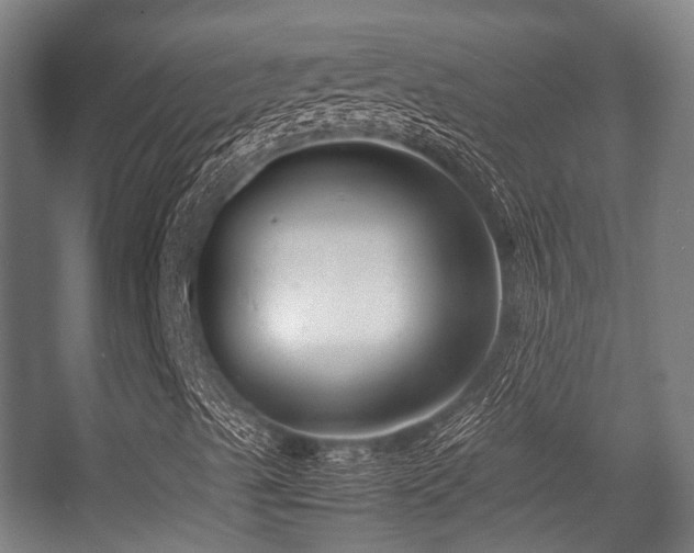 X0000057081489200509120906