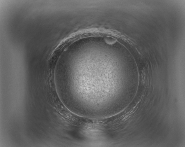 X0000057081494200509120906