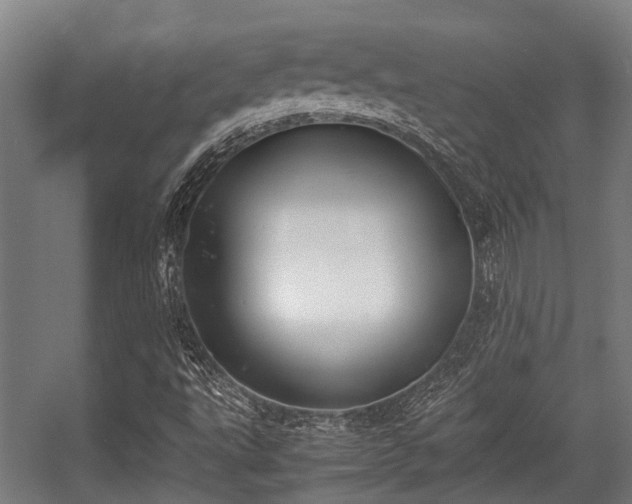 X0000057081495200509120906