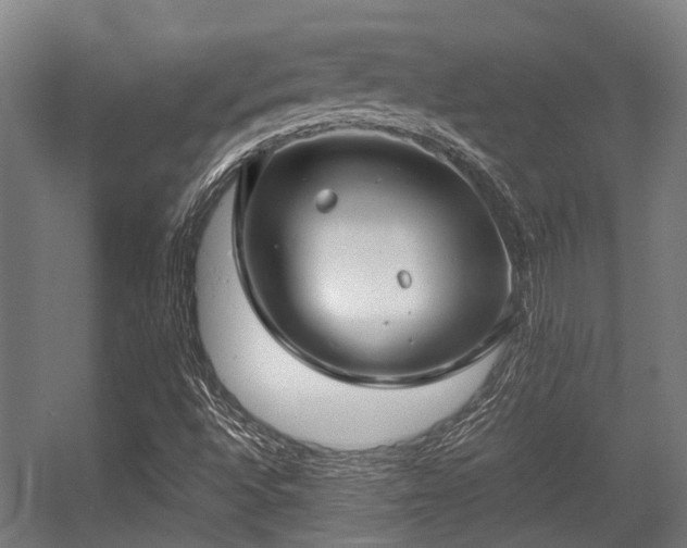 X0000057081496200509120906