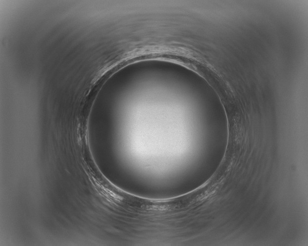 X0000057081497200509120906